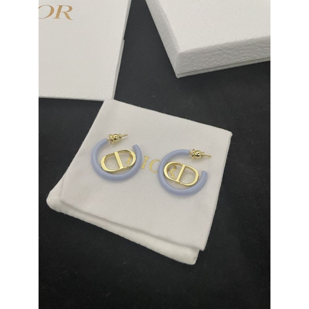 Christian Dior Earrings - Click Image to Close